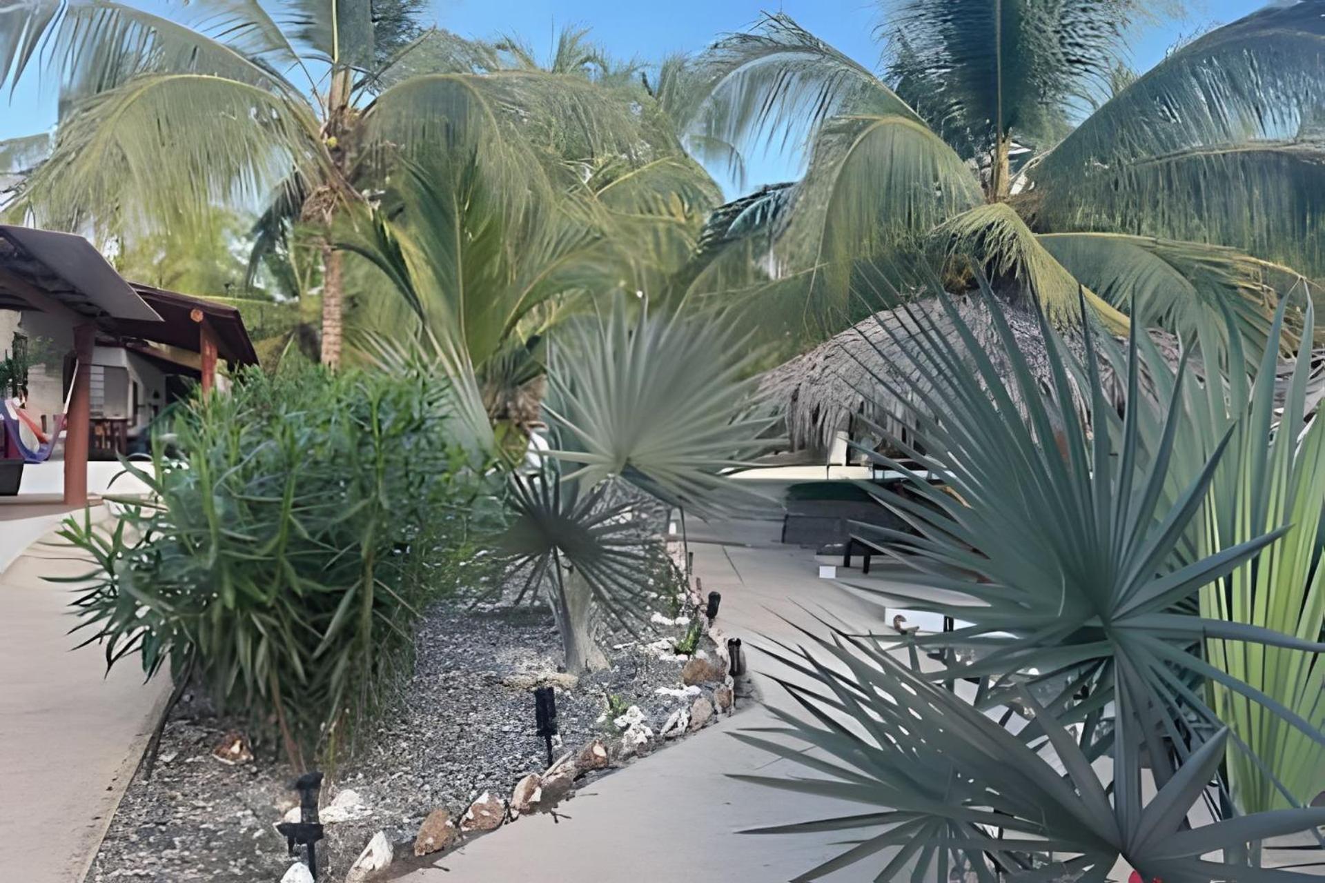 Casa Las Palmas Playa La Saladita Zihuatanejo Exterior photo